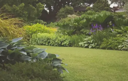 aménagement jardins et terrasses Iffendic-1