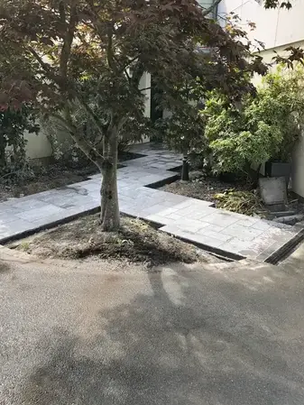 aménagement paysager Dinard-1